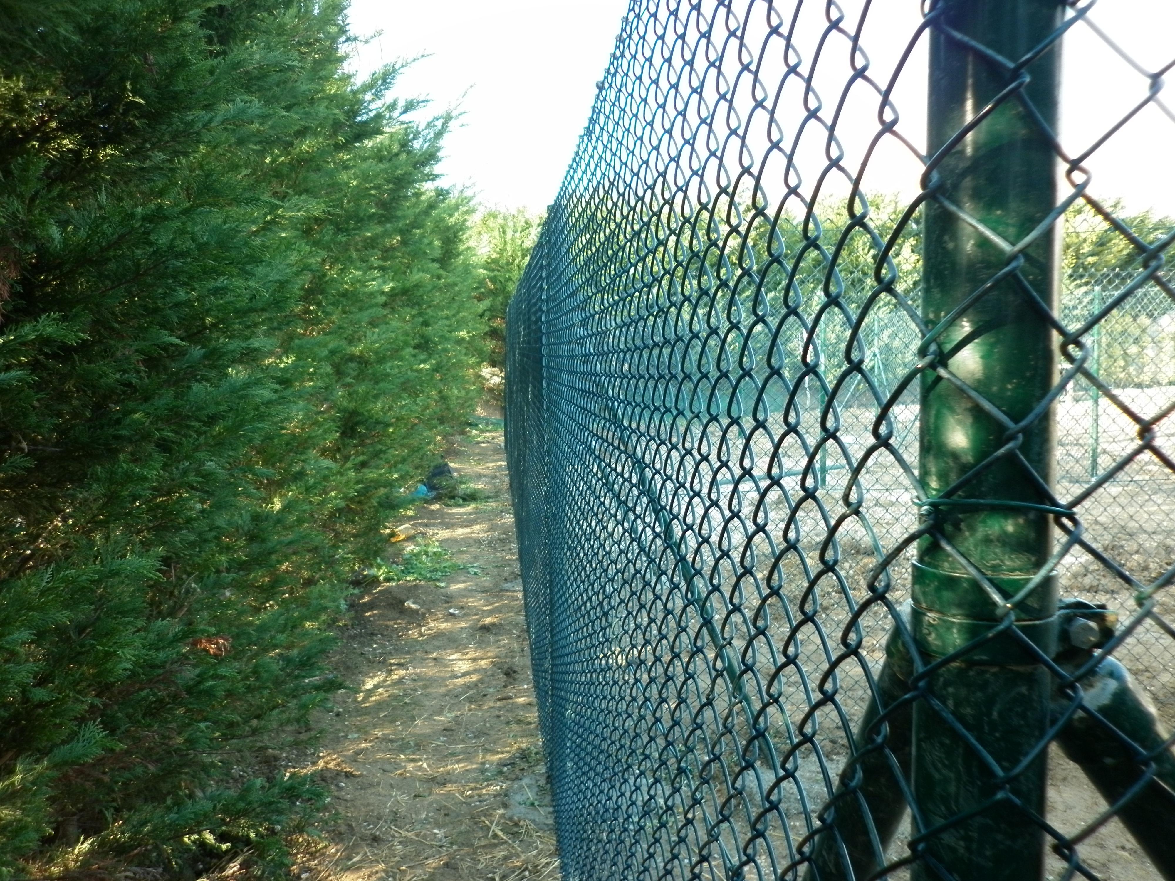 Chain link fence